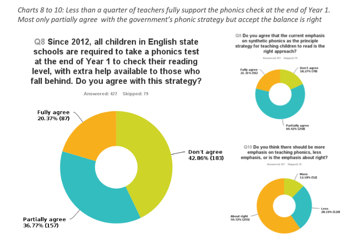 Phonics Plus 2014 Survey responses